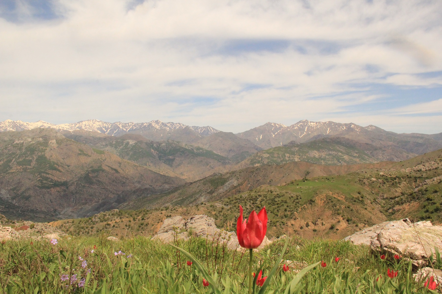 Kulp İlçesine Ait Fotoğraflar 