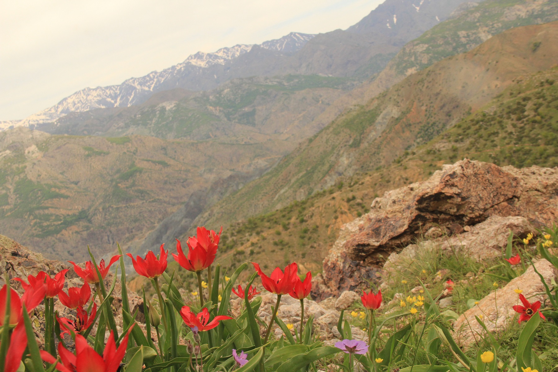 Kulp İlçesine Ait Fotoğraflar 